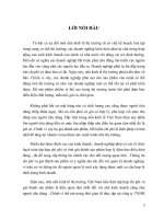 Thực trạng kế toán công ty  TNHH SX và XNK An Việt 