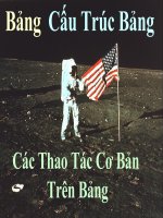 Cấu trúc bảng