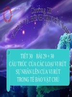bai 29+30 sinh hoc 10 cb