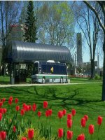 tia phân giác của góc - khảo sát GVG