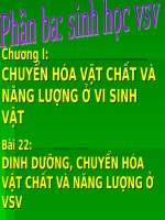 dinh duong chuyen hoa vat chat va nang luong o vsv