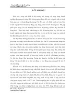 Hoàn thiện kế toán nguyên vật liệu tại Công ty Cổ phần Đầu Tư Phát Triển Xây Dựng và Thương Mại số 9 