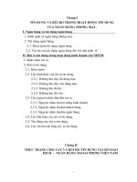 MỘT SỐ GIẢI PHÁP  HẠN CHẾ RỦI RO TÍN DỤNG TẠI SỞ GIAO DỊCH NGÂN HÀNG NGOẠI THƯƠNG VIỆT NAM