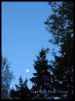 Tiết 58: Ánh trăng