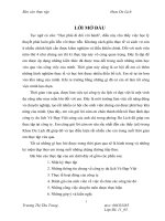 Đánh giá chất lượng kinh doanh lữ hành tại công ty Cổ Phần Du Lịch Vẻ Đẹp Việt 