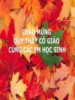 dong dien trong ban dan