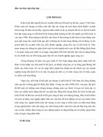 báo cáo thực tập tại Công ty TNHH Kiểm toán PKF Việt Nam