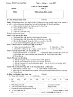 KT 45'''' TH7 HKII (Hay)