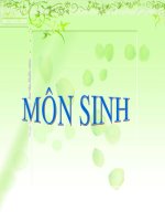 sinh sản hữ tính ở tv