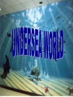 U9 : Undersea world