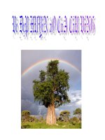 SỰ KHÚC XẠ ÁNH SÁNG