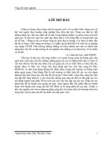 SKKN về chương trình RLĐV ( Đội )