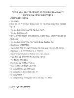 CHIẾN LƯỢC PHÁT TRIỂN TRONG GIAI ĐOẠN SẮP TỚI CỦA TOÀN CÔNG TY CỔ PHẦN TẬP ĐOÀN ĐẦU TƯ THƯƠNG MẠI CÔNG NGHIỆP VIỆT Á