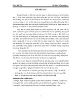 Định hướng phát triển của Chi nhánh Agribank Thăng Long