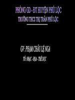 BÀI 22 : VE TRANG TRI