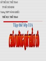 dòng điện trong chất điện phân