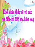 định dạng văn bản (tiếp theo)