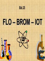 flo-brom-iot
