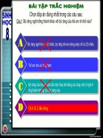 Tieu hoa o da day.ppt