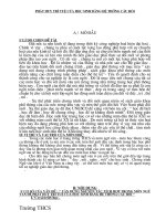 SKKN ngữ văn nữa - rất hay