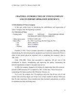 VITECO COMPANY AND ITS IMPORT OPERATION EFFICIENCY