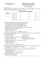 Đề ktr 15'''' lần 2 tin 10 HK II