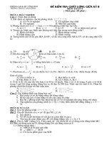 Đề kiểm tra giữa kỳ 2 - Toán 9