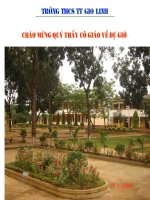 Tứ giác nội tiếp