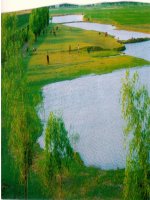 Ngoại khóa môi trường