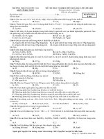 Bai kiem tra trac nghiem he 2008 (120 phut)