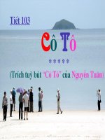 CÔTÔ. Nguyễn Hằng .Đông Anh. HN