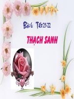 Bài 6. Thạch sanh