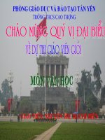 Viếng lăng Bác( Giáo án thi huyện)