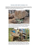 THẢM  HỌA THIÊN NHIÊN 2008