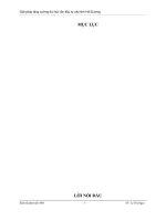 Thực trạng thu hút các nguồn vốn đầu tư vào tỉnh Hải Dương 