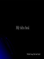 Phôi thai học-sự tạo thành ống tiêu hóa