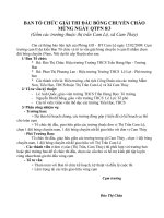 BTC - Kế hoạch thi đấu BC cụm II