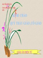 GAĐT CÁC TRƯỜNG HỢP ĐỒNG DẠNG CỦA TAM GIÁC VUÔNG