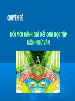 Đổi mới đánh giá kiểm tra môn Ngữ văn