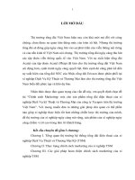 Các giải pháp hoàn thiện chính sách marketing của xí nghiệp TSM