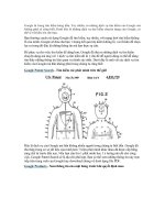 CAC CACH TIM KIEM DAC BIET GOOGLE RAT MOI