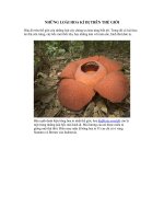 NHỮNG LOÀI HOA KÌ DỊ