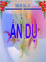 Tiết 95: Ẩn dụ