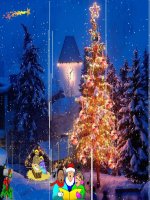 tiet 50 hat tran - cay thong