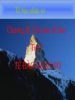 Cấu trúc tế bào nhân sơ