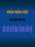 Kiến thức và kĩ năng sử dụng Tiếng Việt