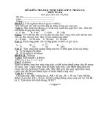 de kiem tra toan HSG lop 5( thang 2)