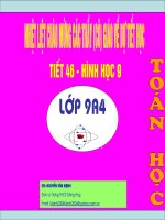 cung chua goc (cuc hay)