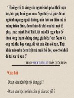 Yeu to bieu cam trong van nghi luan