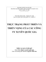 THỰC TRẠNG PHÁT TRIỂN VÀ TRIỂN VỌNG CỦA CÁC CÔNG TY XUYÊN QUỐC GIA